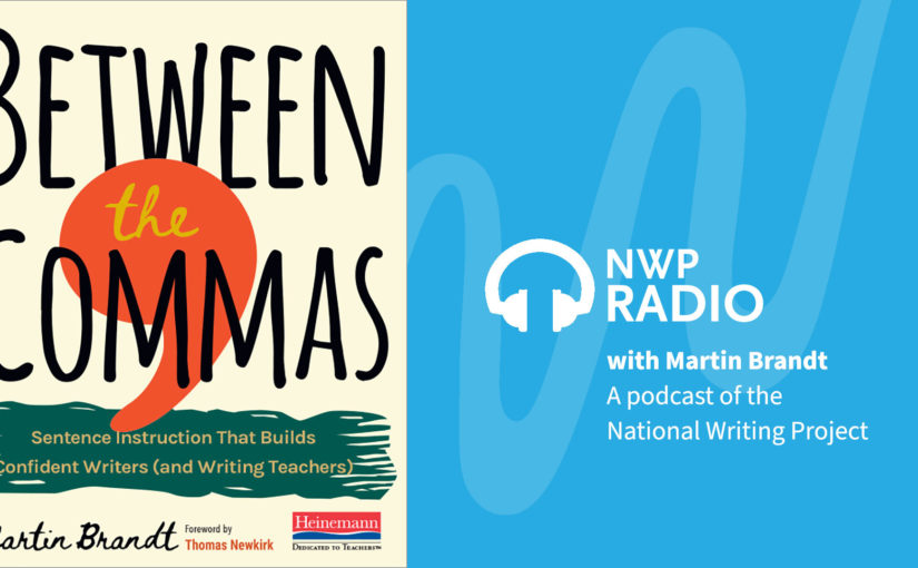 Between the Commas: A Conversation with Martin Brandt